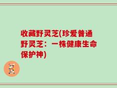 收藏野灵芝(珍爱普通野灵芝：一株健康生命保护神)