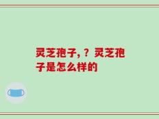 灵芝孢子, ？灵芝孢子是怎么样的