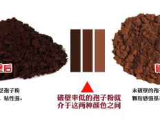 灵芝孢子粉破壁加工，原来有这么多讲究！