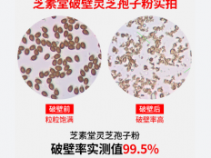 灵芝孢子粉怎样破壁？一文带你了解灵芝孢子粉破壁！