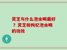 灵芝与什么泡水喝最好 ？灵芝和枸杞泡水喝的功效