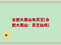 合肥大蜀山有灵芝(合肥大蜀山：灵芝仙境)