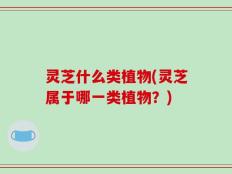 灵芝什么类植物(灵芝属于哪一类植物？)