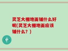 灵芝大棚地面铺什么好呢(灵芝大棚地面应该铺什么？)