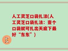 人工灵芝口袋扎法(人工灵芝口袋扎法：壹个口袋就可扎出天底下最好“东东”)