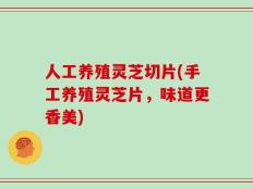 人工养殖灵芝切片(手工养殖灵芝片，味道更香美)