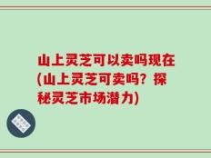 山上灵芝可以卖吗现在(山上灵芝可卖吗？探秘灵芝市场潜力)