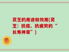 灵芝的用途和效用(灵芝：抗癌、抗疲劳的“长寿神草”)