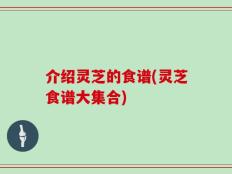 介绍灵芝的食谱(灵芝食谱大集合)