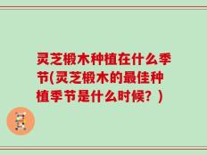 灵芝椴木种植在什么季节(灵芝椴木的最佳种植季节是什么时候？)