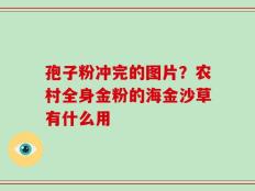 孢子粉冲完的图片？农村全身金粉的海金沙草有什么用