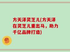 方天泽灵芝儿(方天泽在灵芝儿重出马，助力千亿品牌打造)