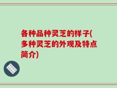 各种品种灵芝的样子(多种灵芝的外观及特点简介)