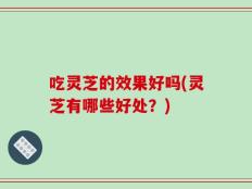 吃灵芝的效果好吗(灵芝有哪些好处？)