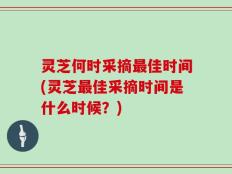 灵芝何时采摘最佳时间(灵芝最佳采摘时间是什么时候？)