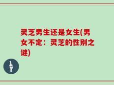 灵芝男生还是女生(男女不定：灵芝的性别之谜)