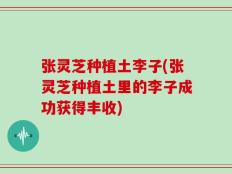 张灵芝种植土李子(张灵芝种植土里的李子成功获得丰收)