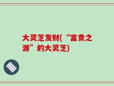 大灵芝发财(“富贵之源”的大灵芝)