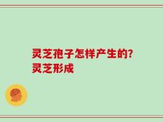 灵芝孢子怎样产生的？灵芝形成
