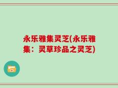 永乐雅集灵芝(永乐雅集：灵草珍品之灵芝)