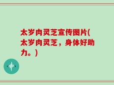 太岁肉灵芝宣传图片(太岁肉灵芝，身体好助力。)
