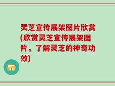 灵芝宣传展架图片欣赏(欣赏灵芝宣传展架图片，了解灵芝的神奇功效)