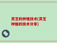 灵芝的种殖技术(灵芝种植的技术分享)