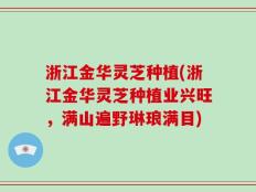 浙江金华灵芝种植(浙江金华灵芝种植业兴旺，满山遍野琳琅满目)