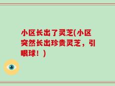 小区长出了灵芝(小区突然长出珍贵灵芝，引眼球！)