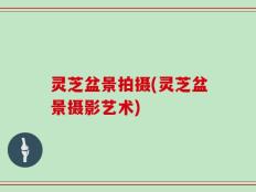 灵芝盆景拍摄(灵芝盆景摄影艺术)