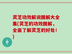 灵芝功效解说图解大全集(灵芝的功效图解，全面了解灵芝的好处！)