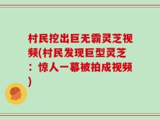村民挖出巨无霸灵芝视频(村民发现巨型灵芝：惊人一幕被拍成视频)