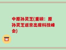中原孙灵芝(重磅：原孙灵芝返京出席科技峰会)