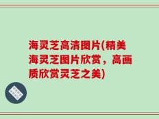 海灵芝高清图片(精美海灵芝图片欣赏，高画质欣赏灵芝之美)