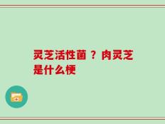 灵芝活性菌 ？肉灵芝是什么梗