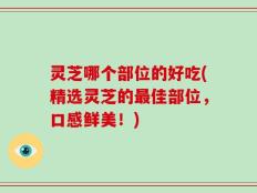 灵芝哪个部位的好吃(精选灵芝的最佳部位，口感鲜美！)