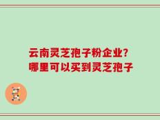 云南灵芝孢子粉企业？哪里可以买到灵芝孢子