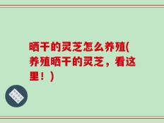 晒干的灵芝怎么养殖(养殖晒干的灵芝，看这里！)