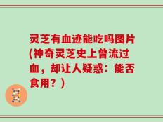 灵芝有血迹能吃吗图片(神奇灵芝史上曾流过血，却让人疑惑：能否食用？)