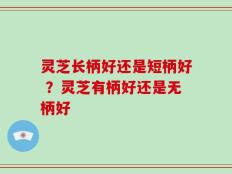 灵芝长柄好还是短柄好 ？灵芝有柄好还是无柄好