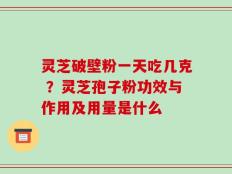 灵芝破壁粉一天吃几克 ？灵芝孢子粉功效与作用及用量是什么