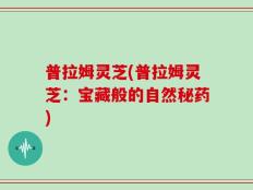 普拉姆灵芝(普拉姆灵芝：宝藏般的自然秘药)