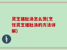 灵芝猪肚汤怎么煲(烹饪灵芝猪肚汤的方法详解)