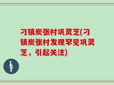 刁镇炭张村巩灵芝(刁镇炭张村发现罕见巩灵芝，引起关注)