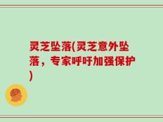 灵芝坠落(灵芝意外坠落，专家呼吁加强保护)