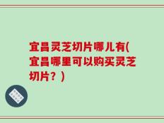 宜昌灵芝切片哪儿有(宜昌哪里可以购买灵芝切片？)