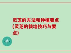 灵芝的方法和种植要点(灵芝的栽培技巧与要点)