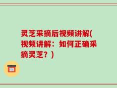 灵芝采摘后视频讲解(视频讲解：如何正确采摘灵芝？)