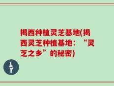 揭西种植灵芝基地(揭西灵芝种植基地：“灵芝之乡”的秘密)