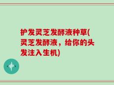护发灵芝发酵液种草(灵芝发酵液，给你的头发注入生机)